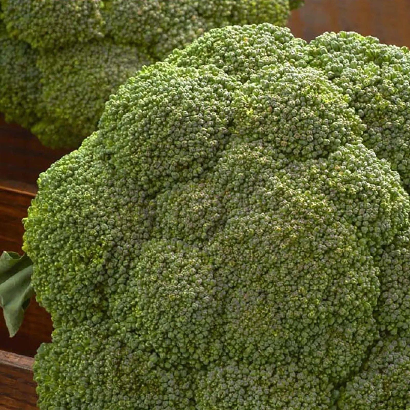 Destiny Broccoli