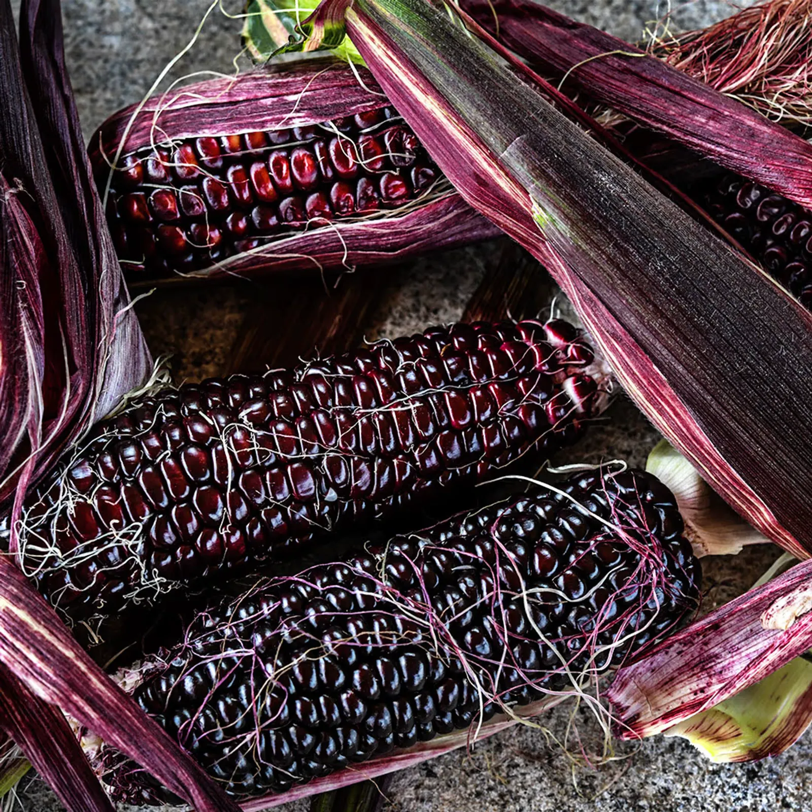Double Red Corn