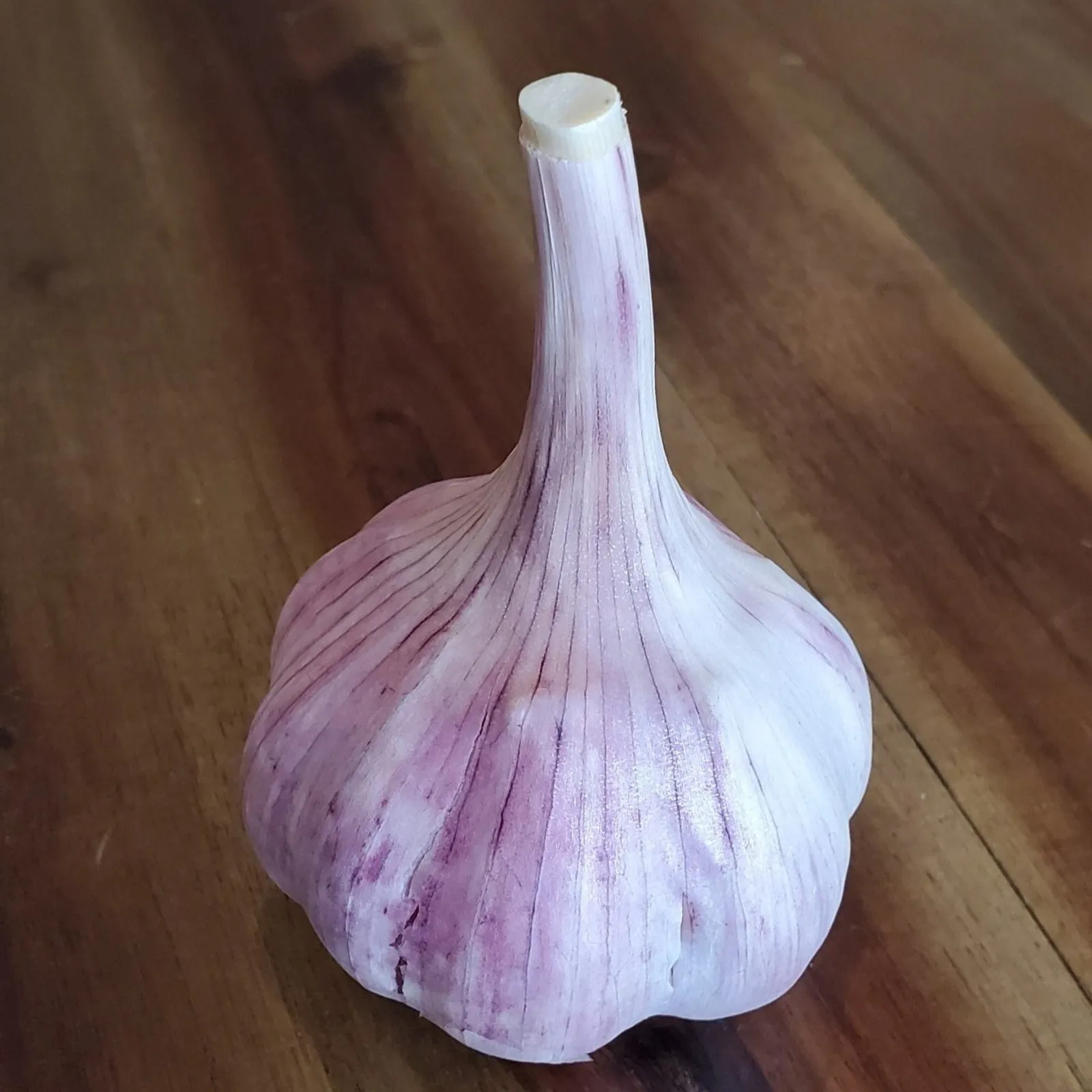 Duganski Garlic