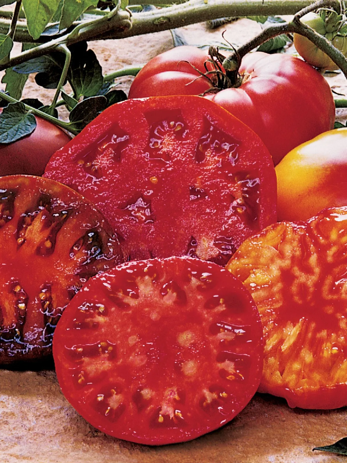 Heirloom Taste Collection Tomatoes