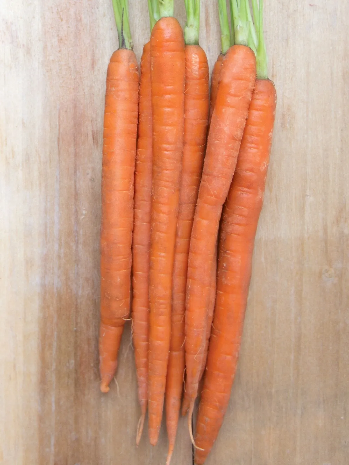 Mokum Hybrid Carrots