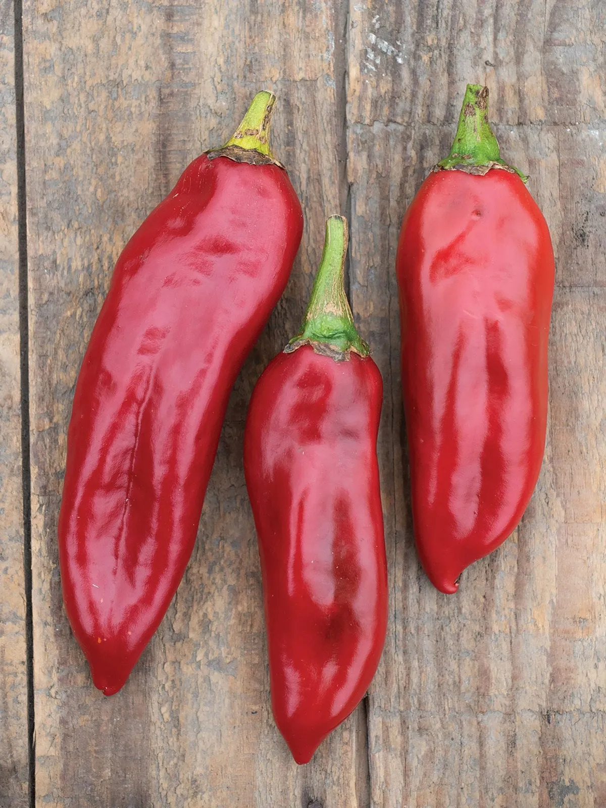 Hot, Anaheim Chili Peppers