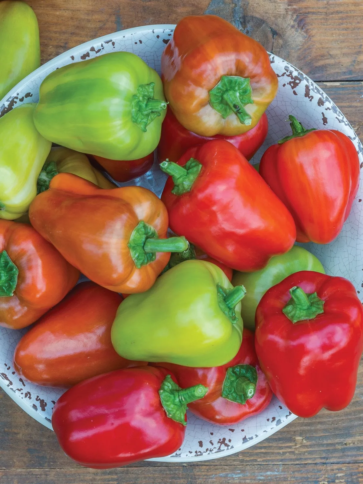 Sweet, Confetti Hybrid Peppers
