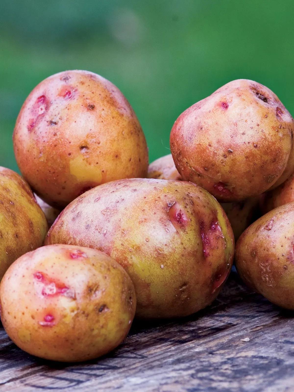 Red  Gold Potatoes