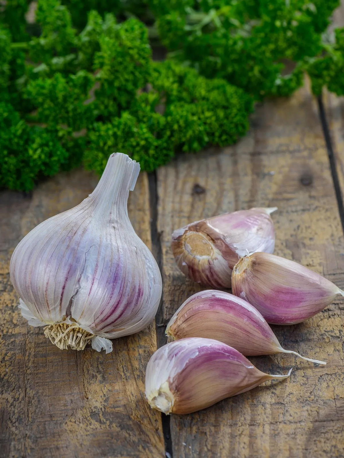 Georgia Crystal Garlic