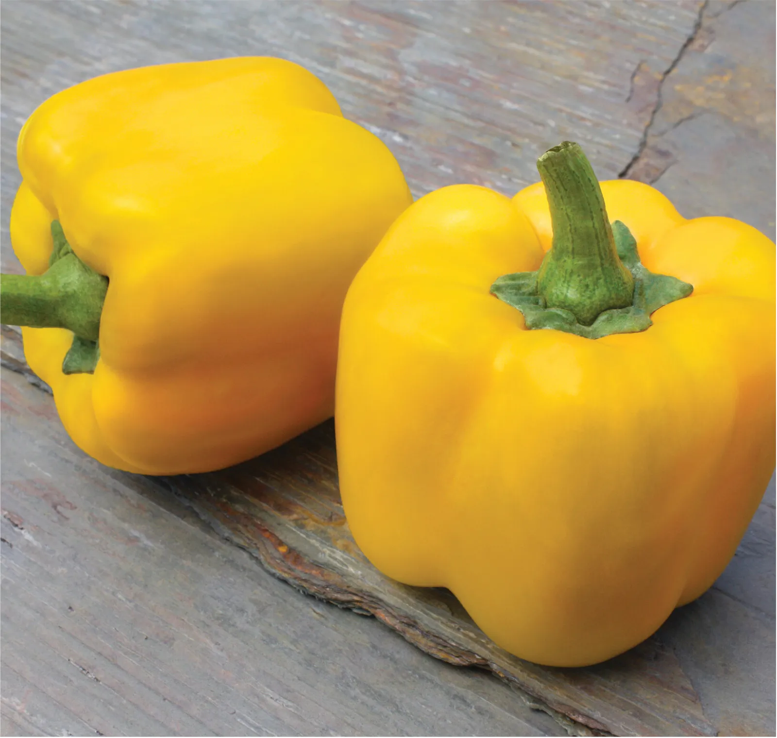 Early Summer Peppers