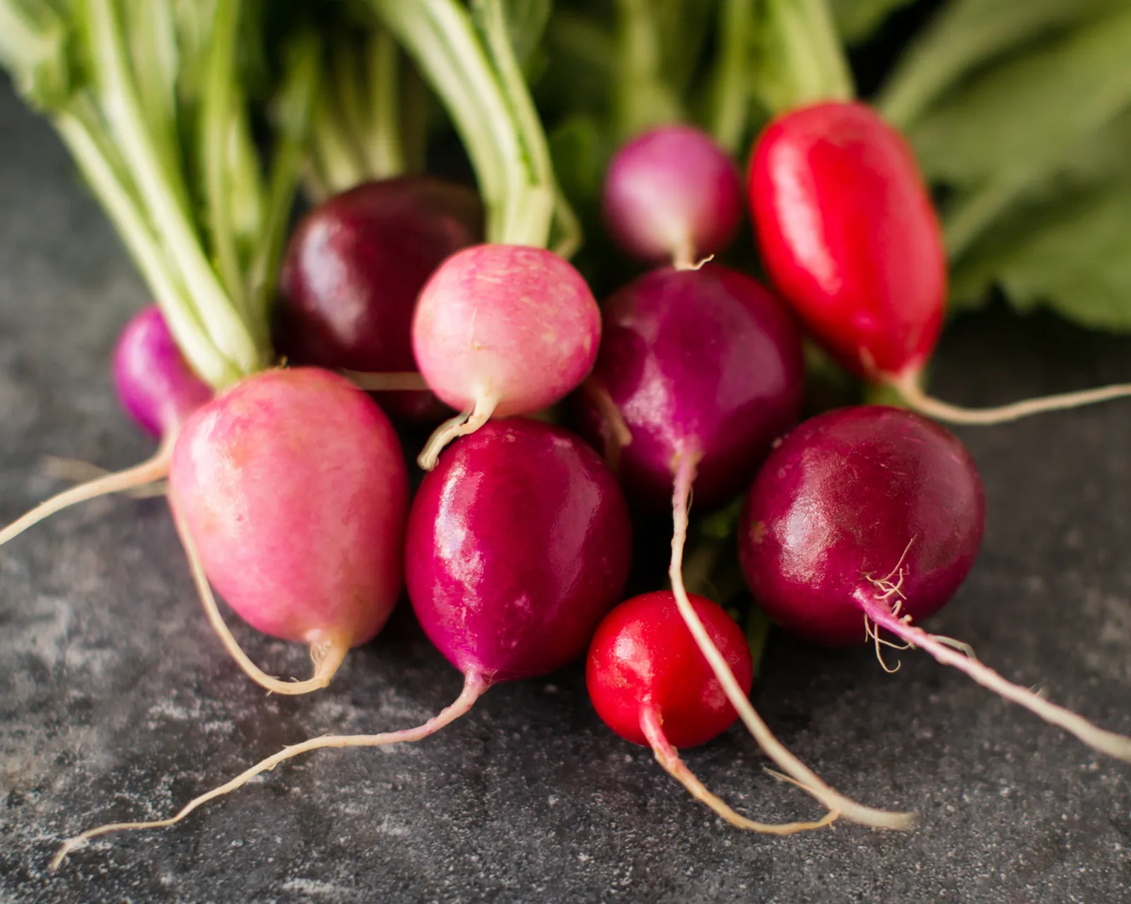 Easter Egg Blend Radishes