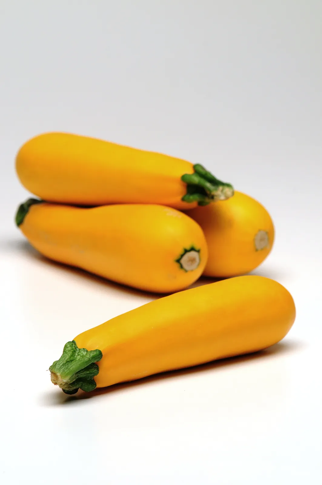 Easy Pick Gold II Hybrid Zucchini Squash