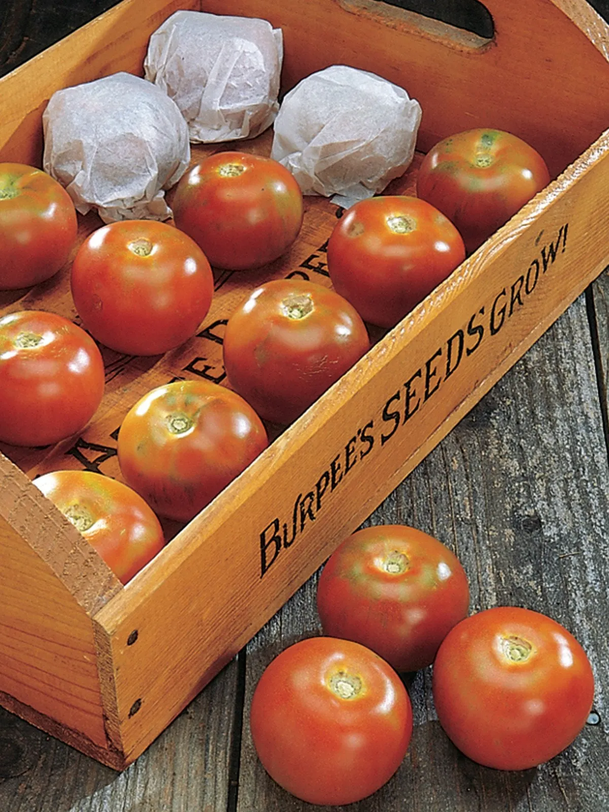 Burpees Long-Keeper Tomatoes