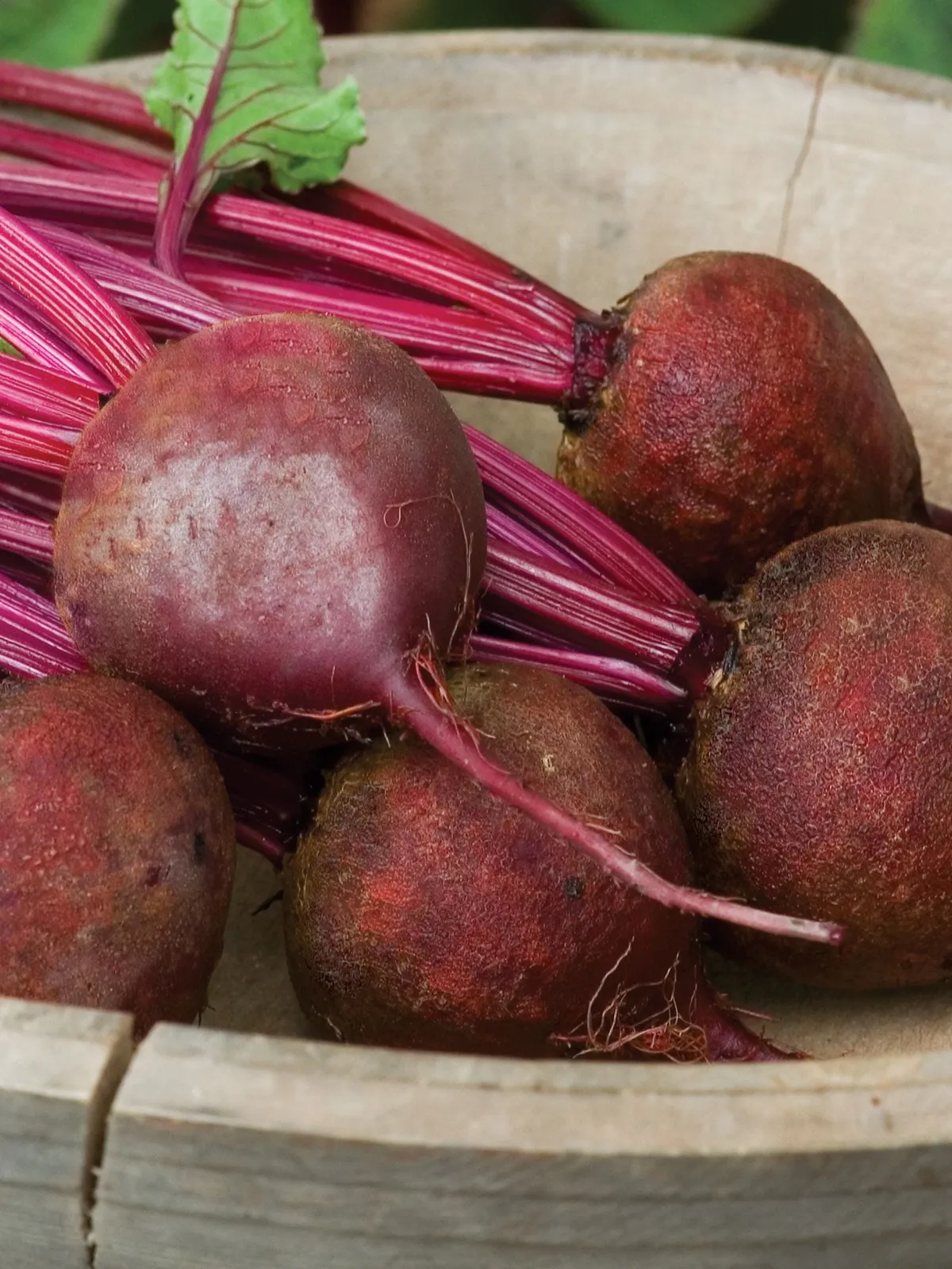 Detroit Dark Red Organic Beets