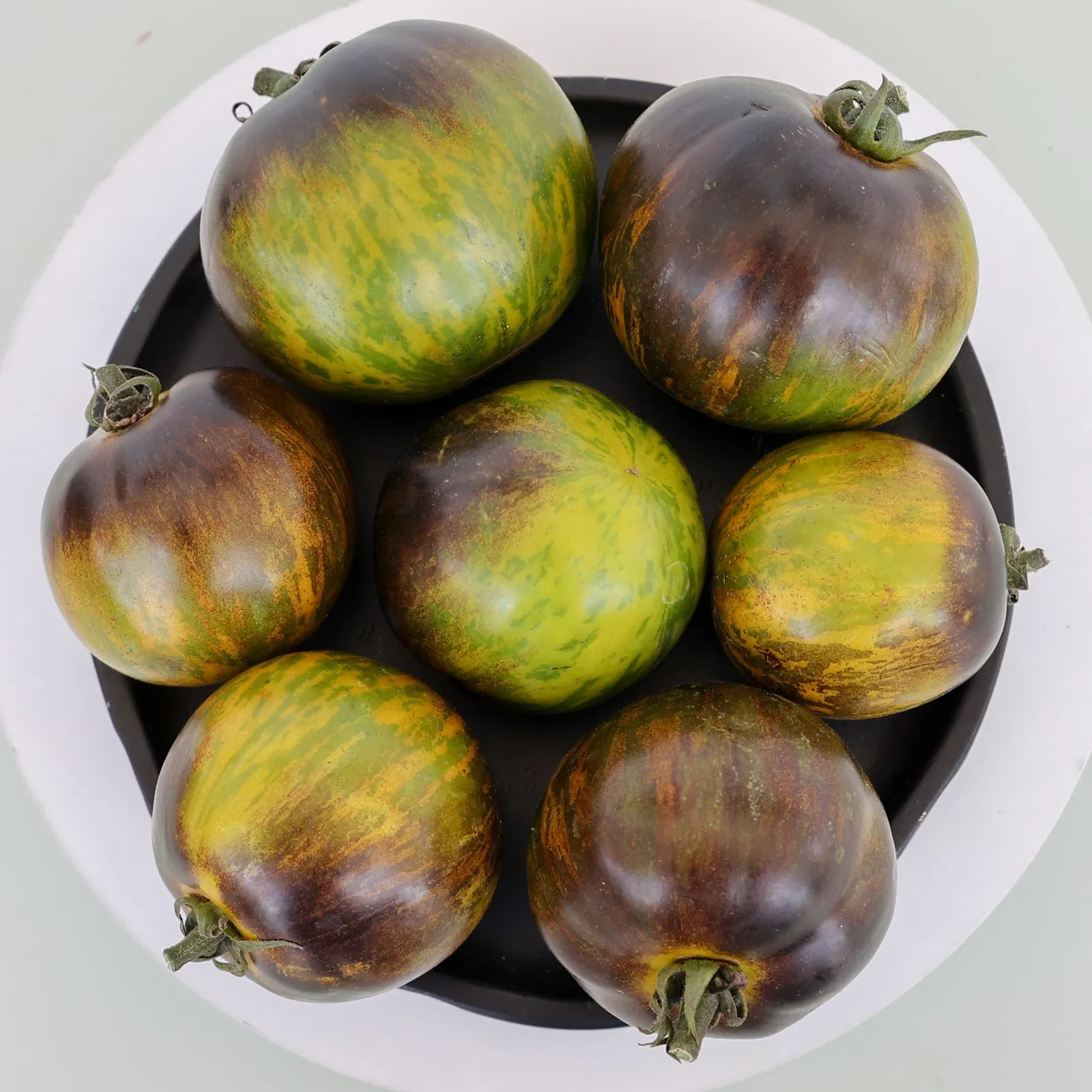 Emerald City Tomatoes