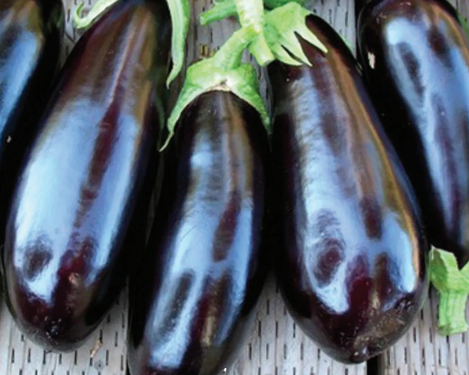 Epic Eggplant