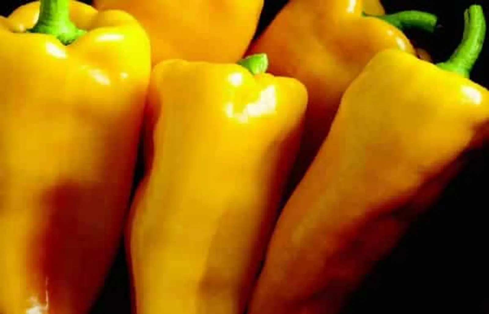 Escamillo Peppers