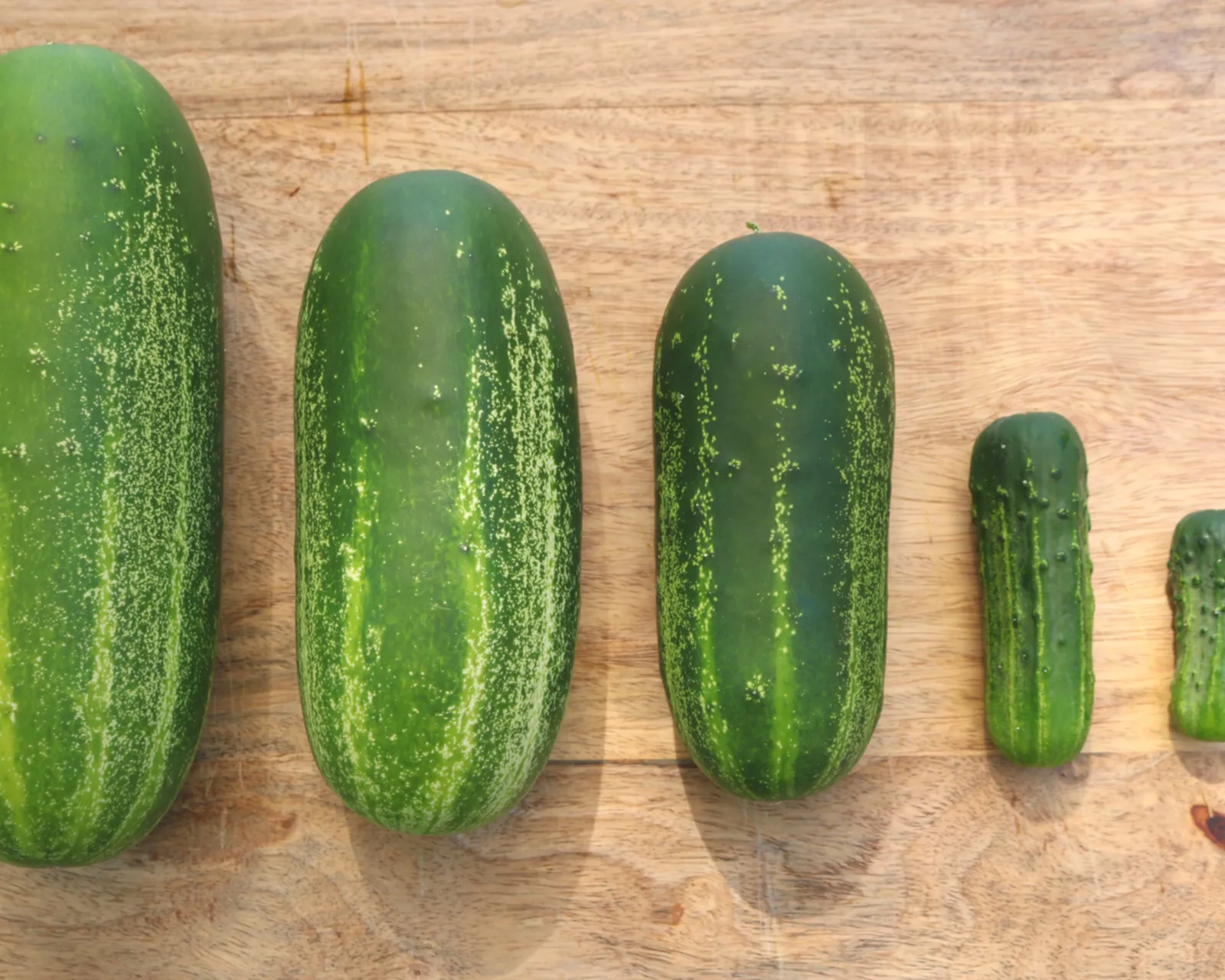 Eureka Cucumbers