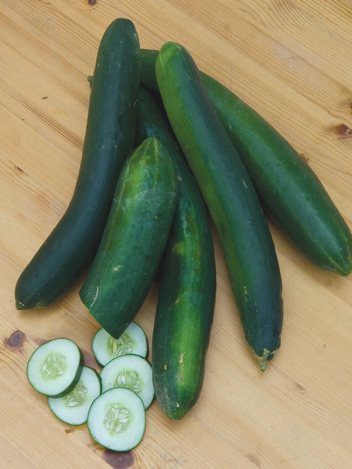 Sweet Success Hybrid Cucumbers