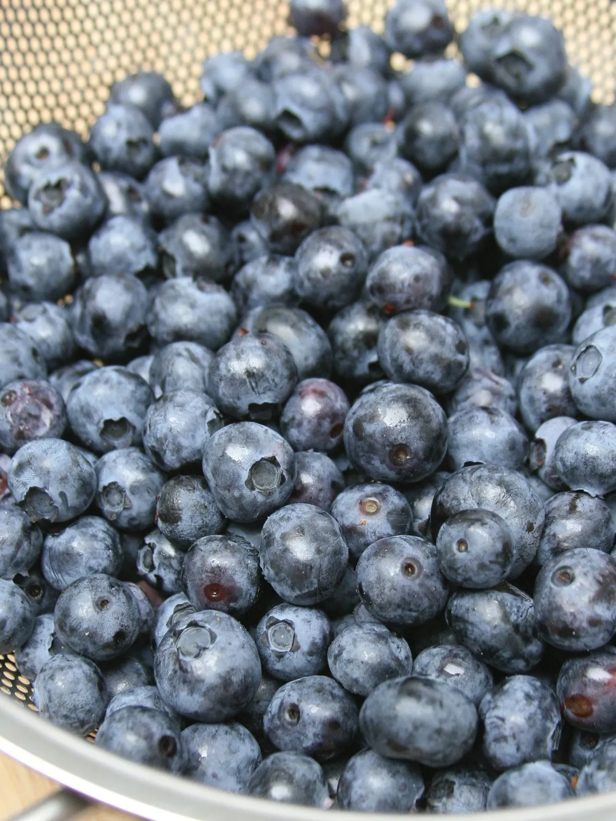 Northland Blueberries