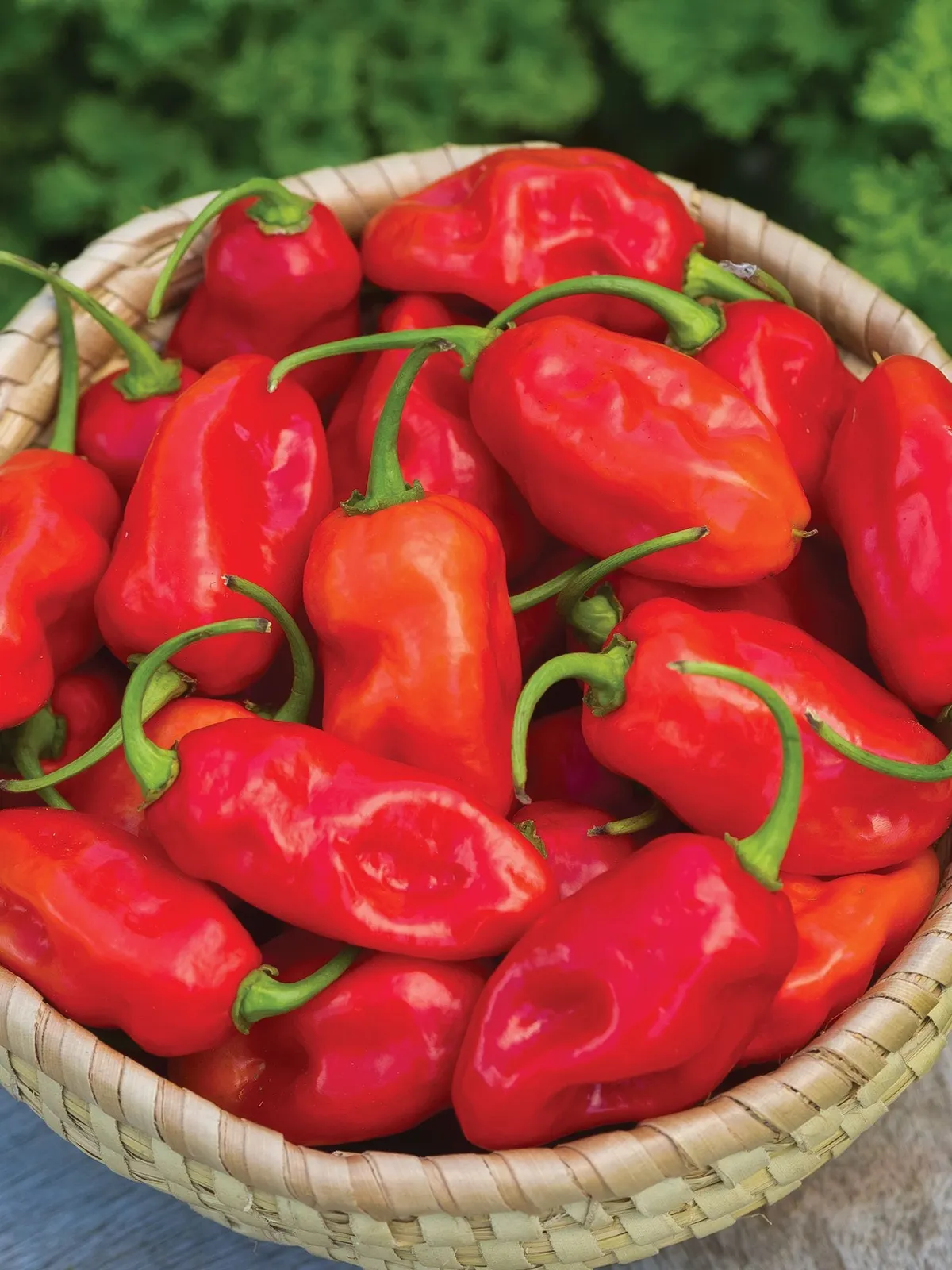 Hot, Zavory Peppers