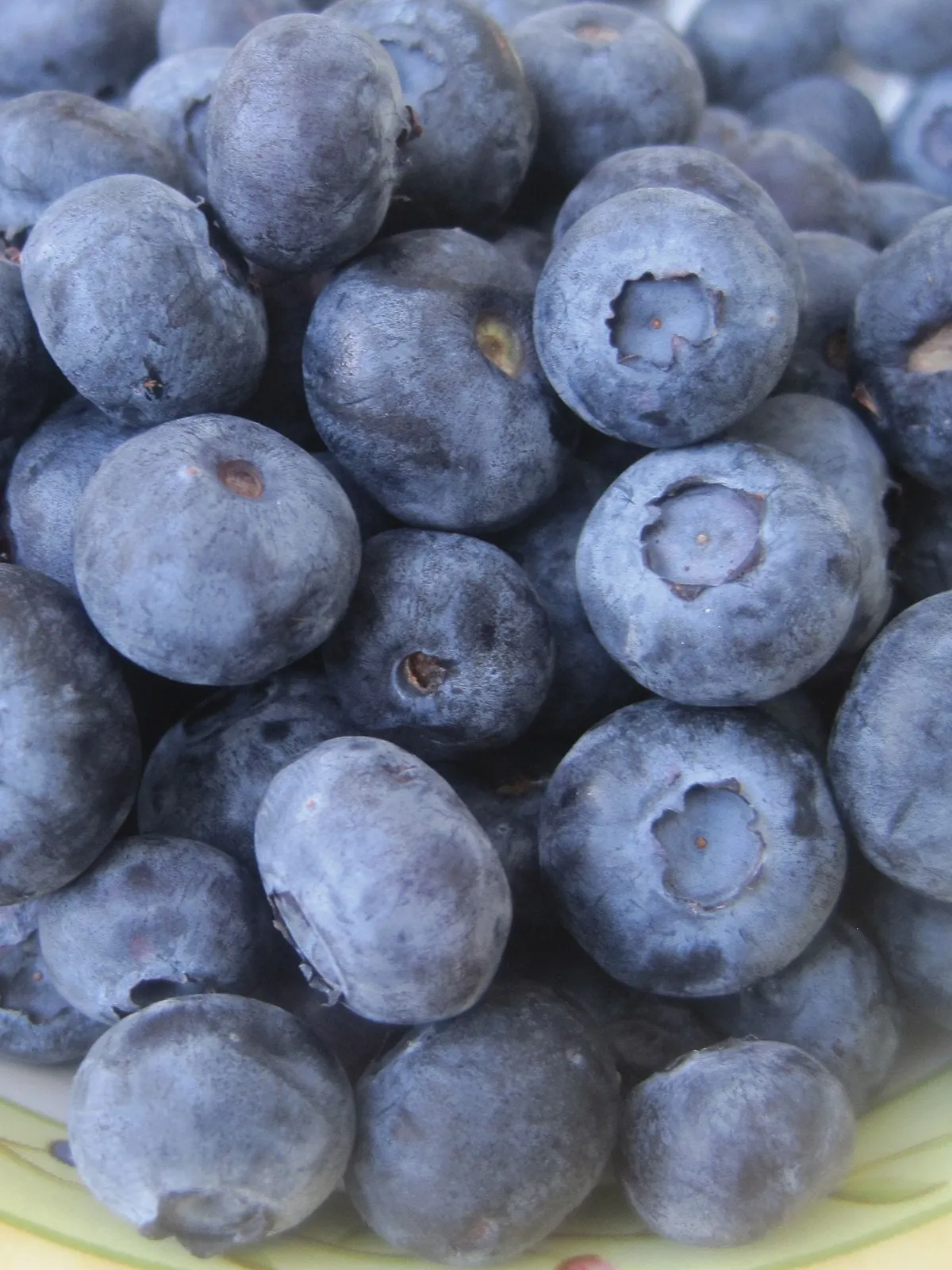 Jewel Blueberries
