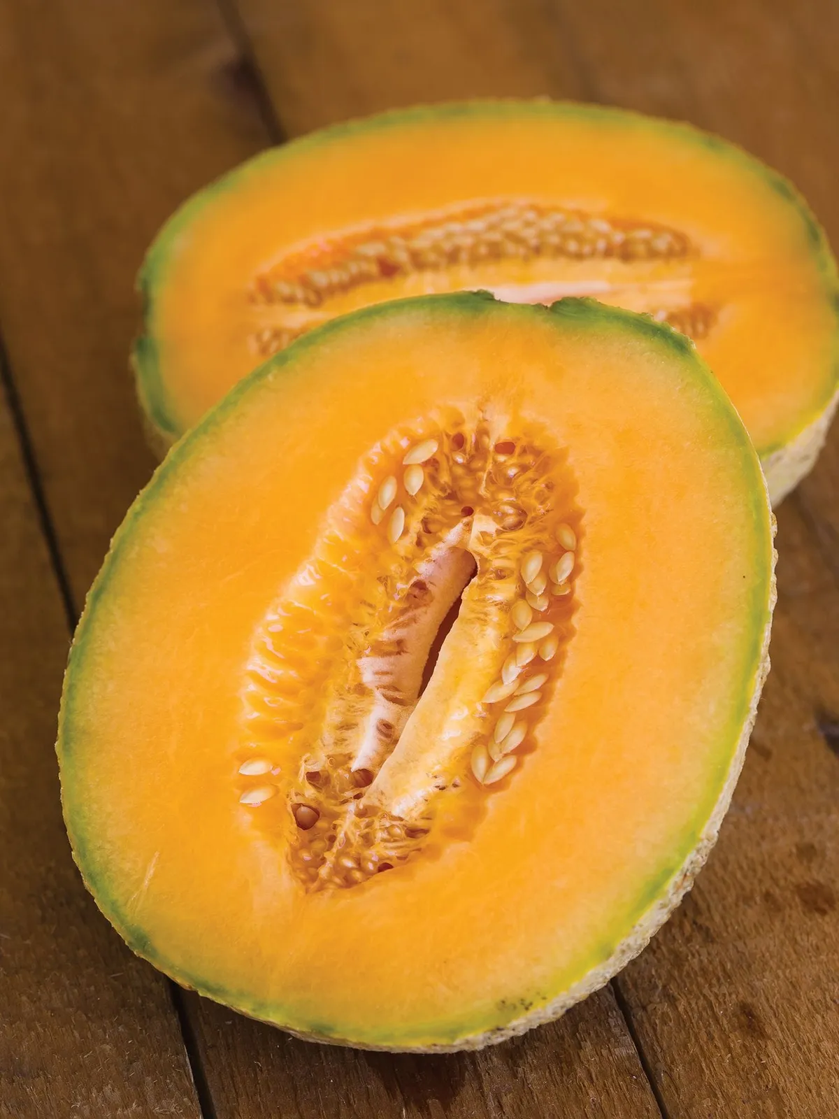 Honey Bun Hybrid Cantaloupe
