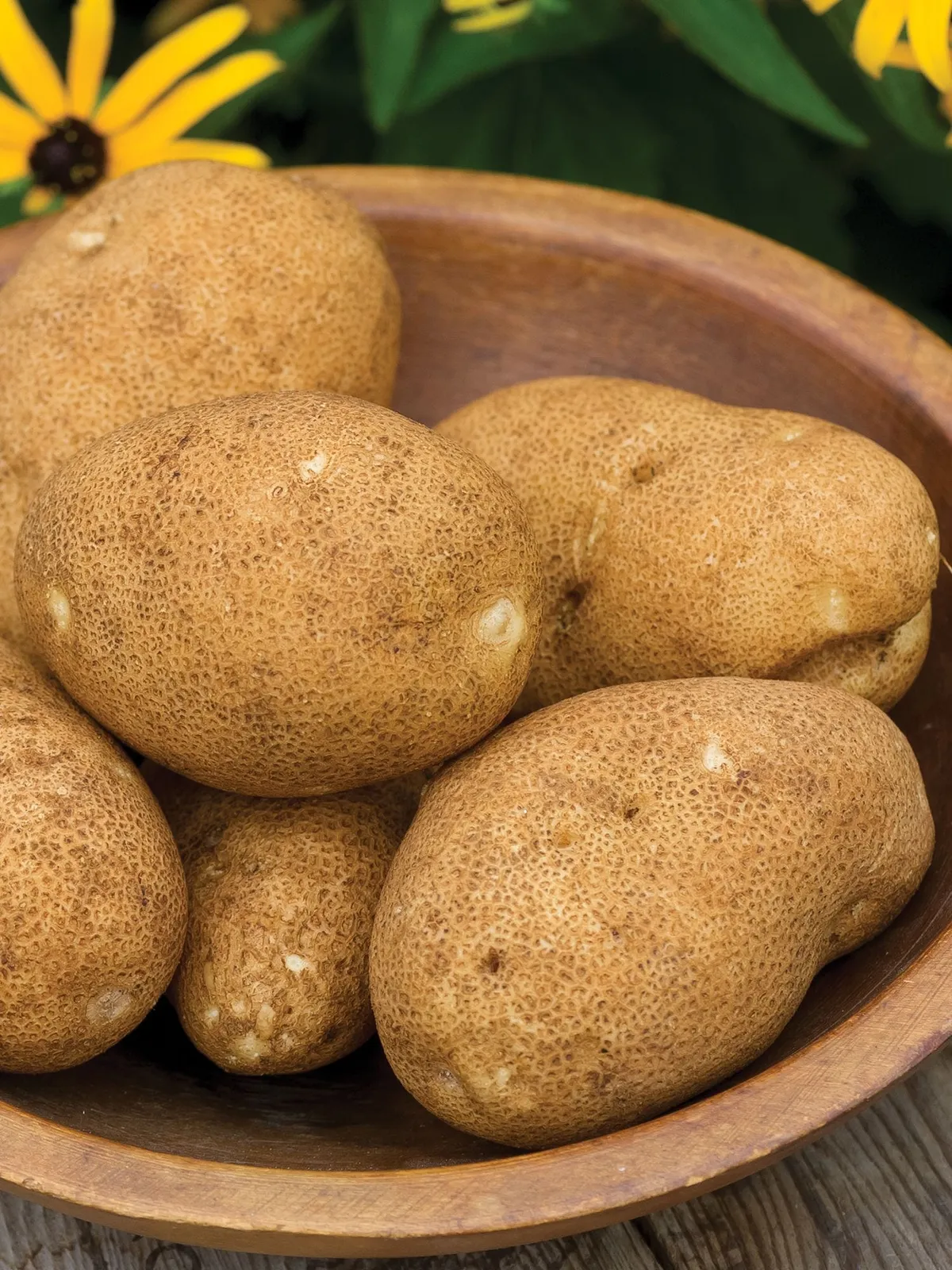 Rio Grande Russet Potatoes