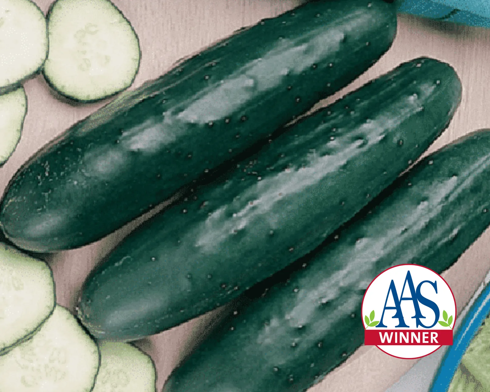 Fanfare Cucumbers