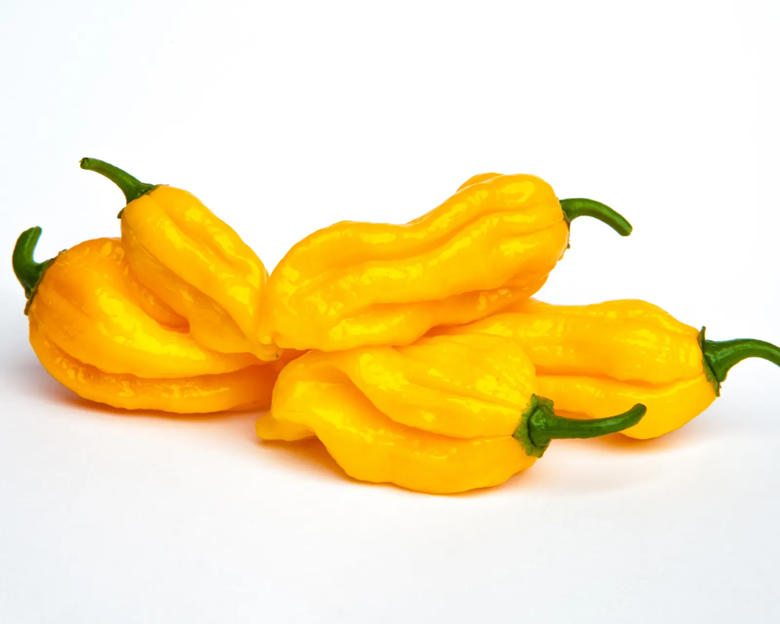 Fatalii Peppers