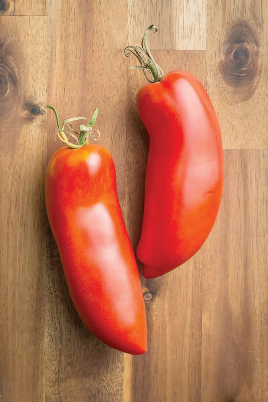 Federle Tomatoes