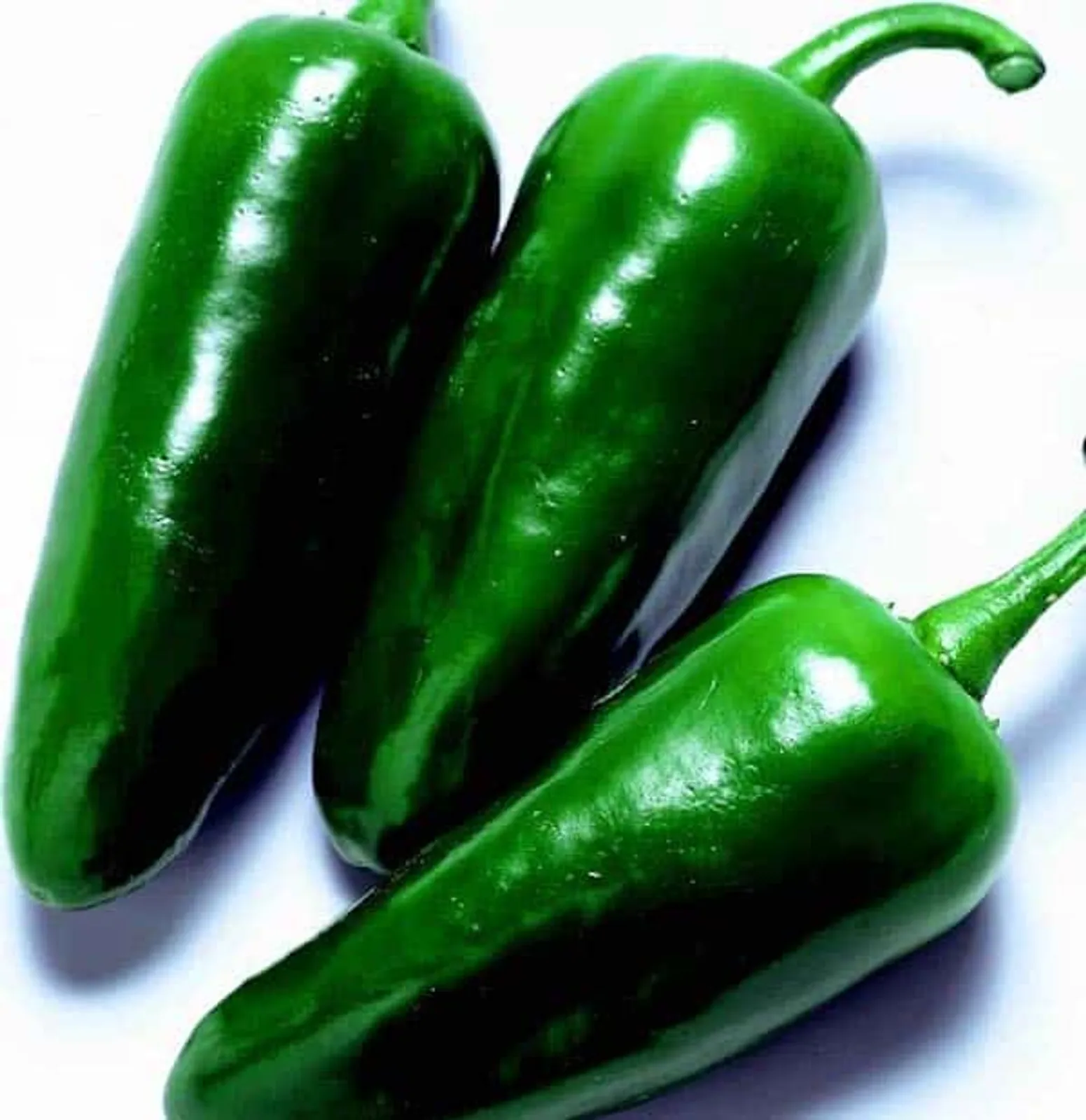 Felicity Peppers