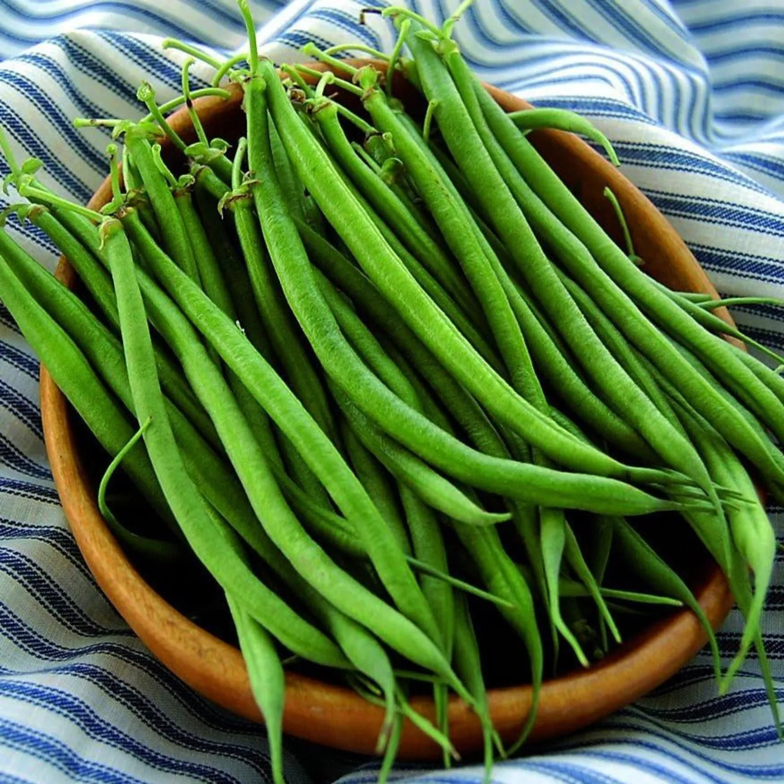 Fin De Bagnol Beans