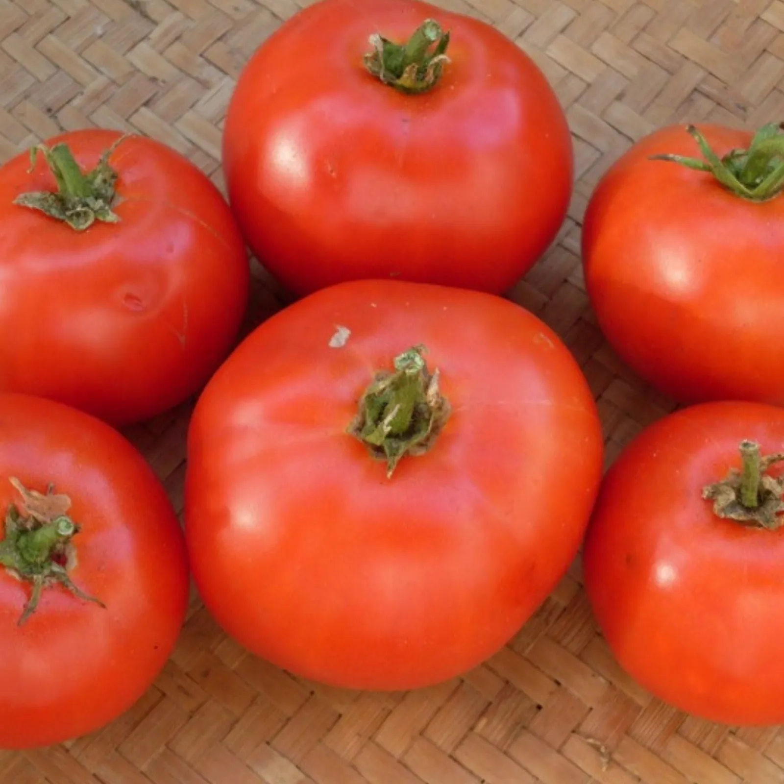Fireworks Tomatoes