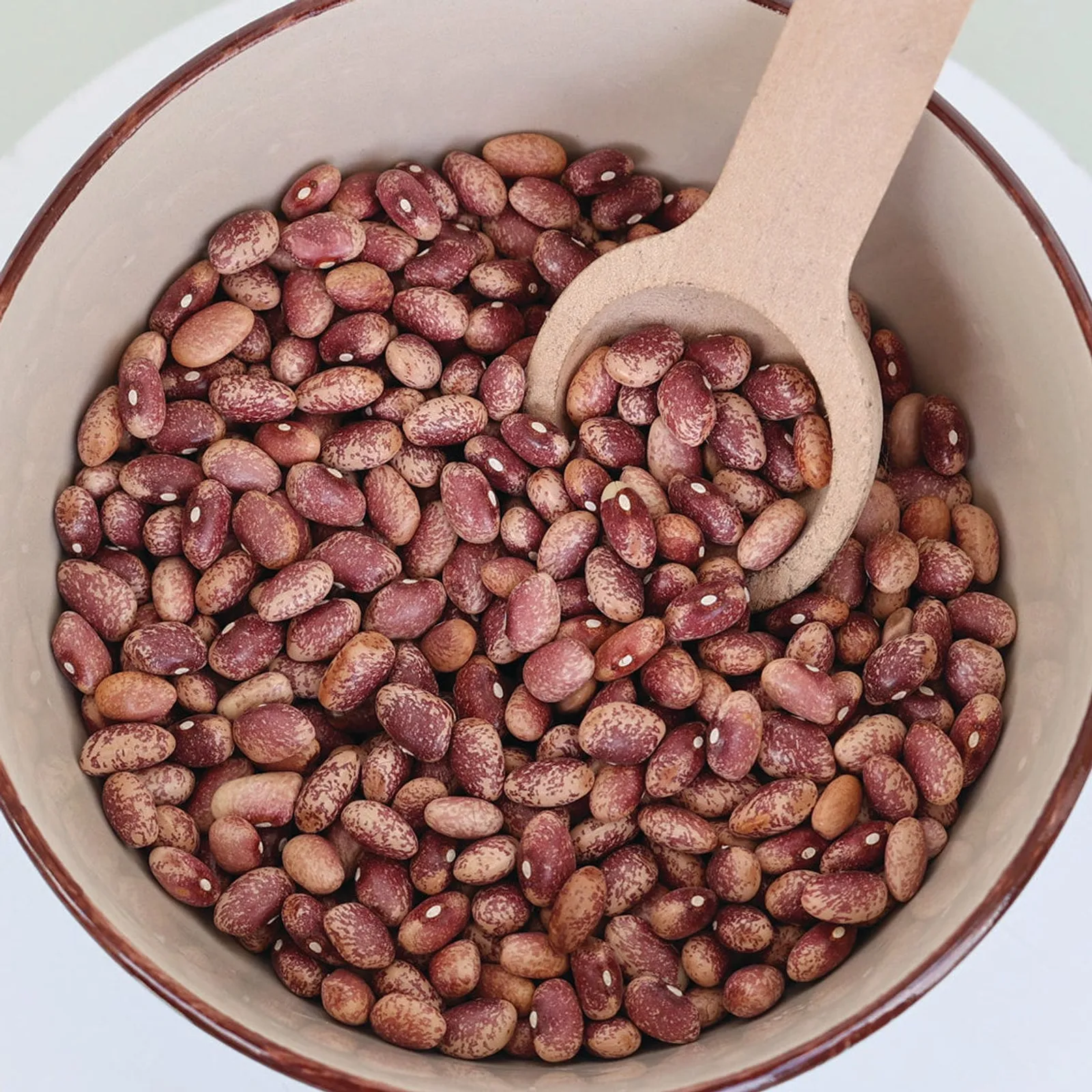 Flor De Mayo Beans