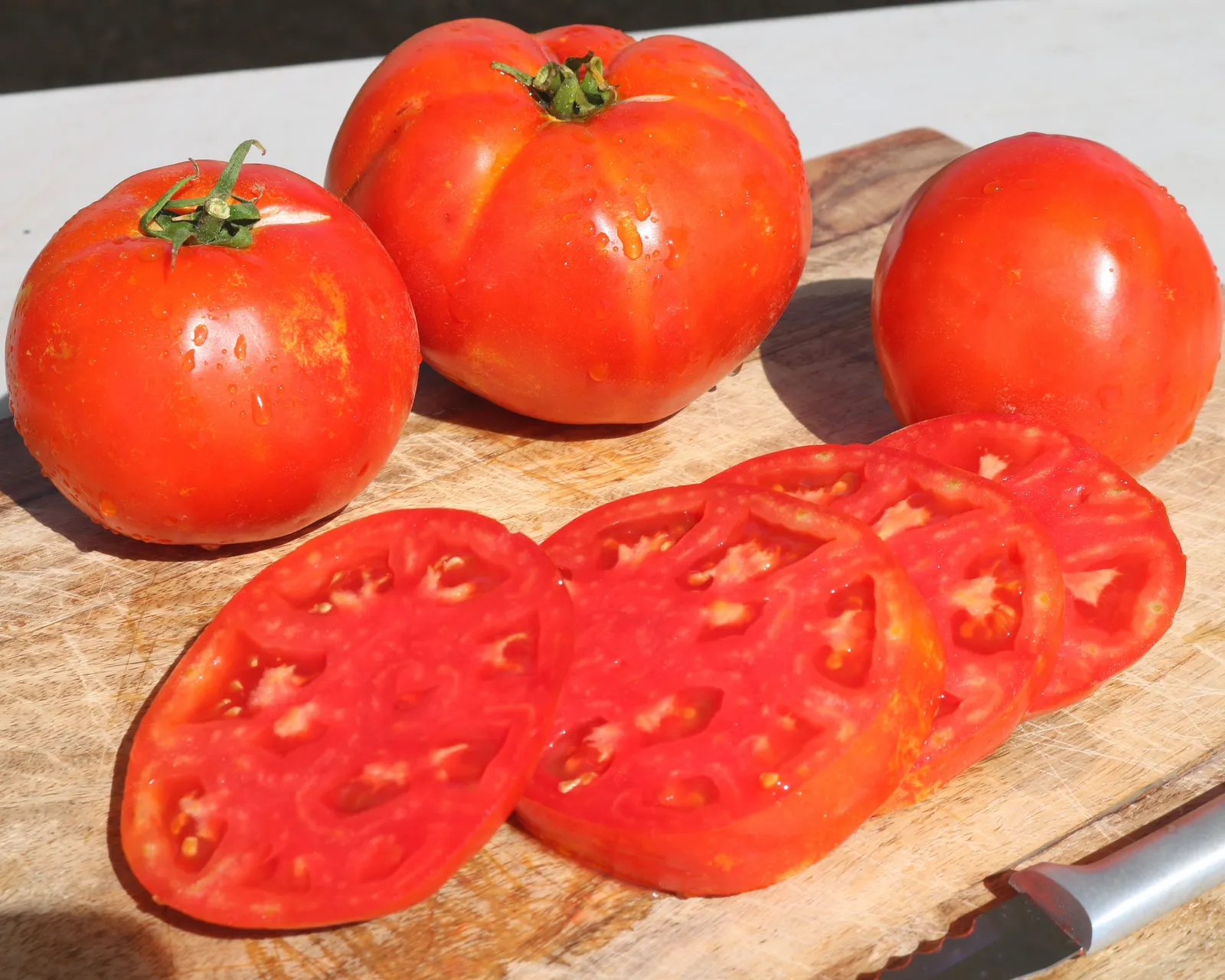 Florida 91 Tomatoes