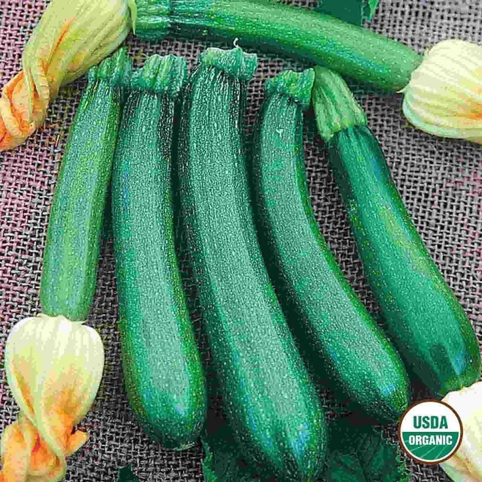 Fordhook Squash
