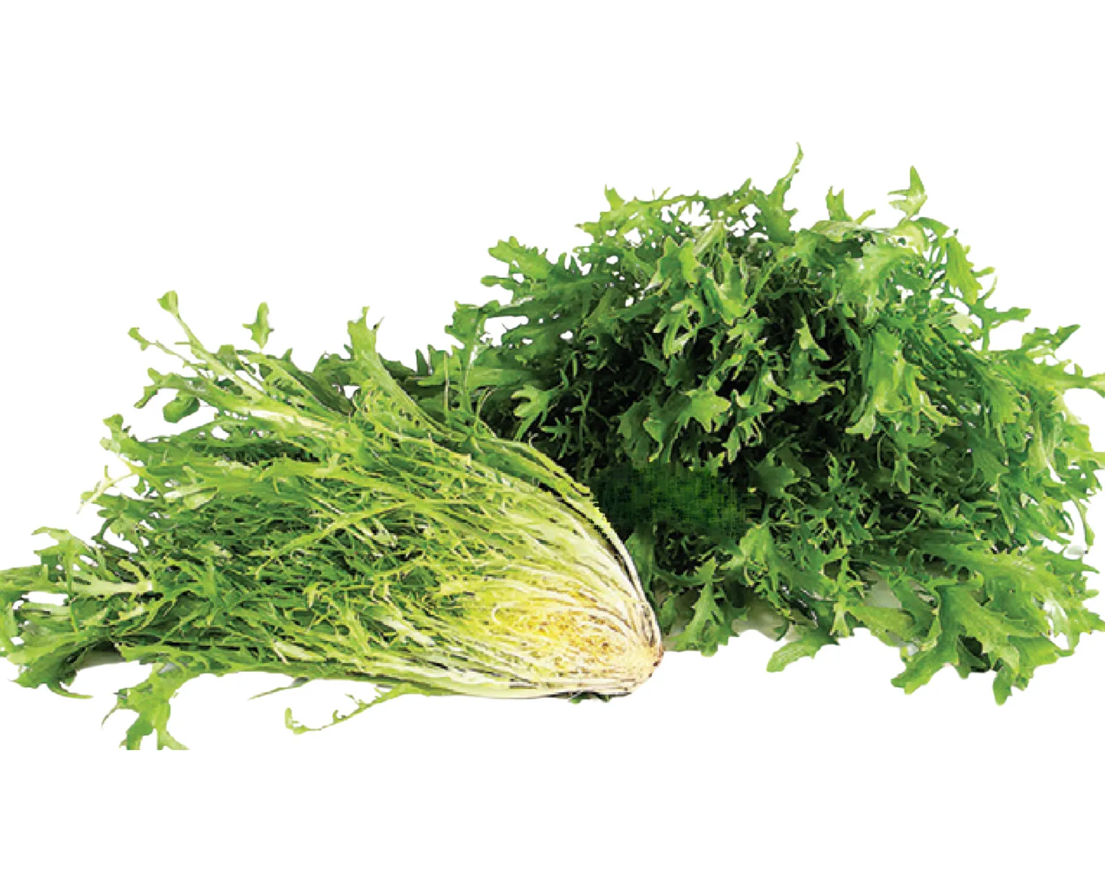 Frisee Endive Endive/Escarole