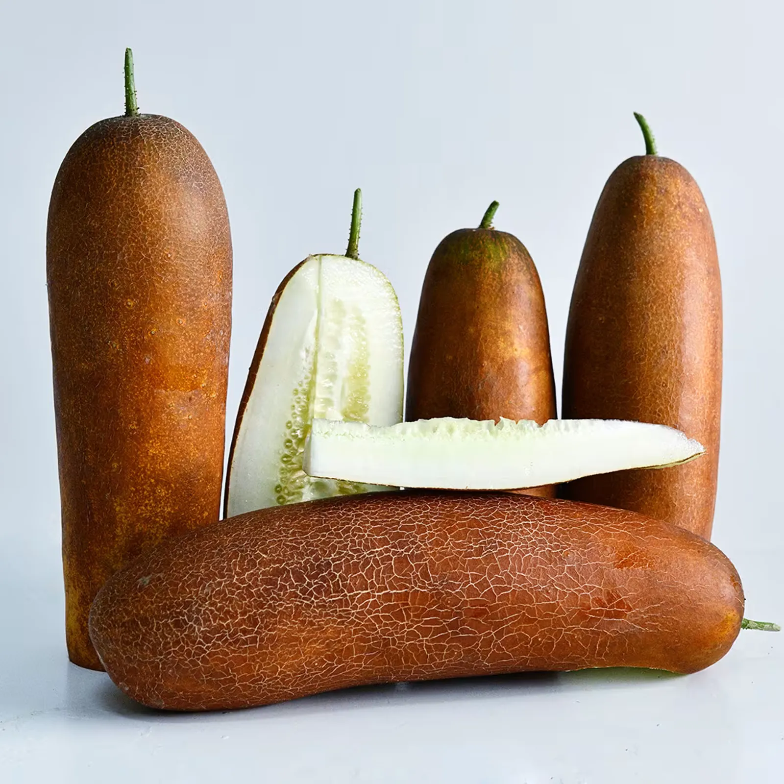 Gagon Cucumbers