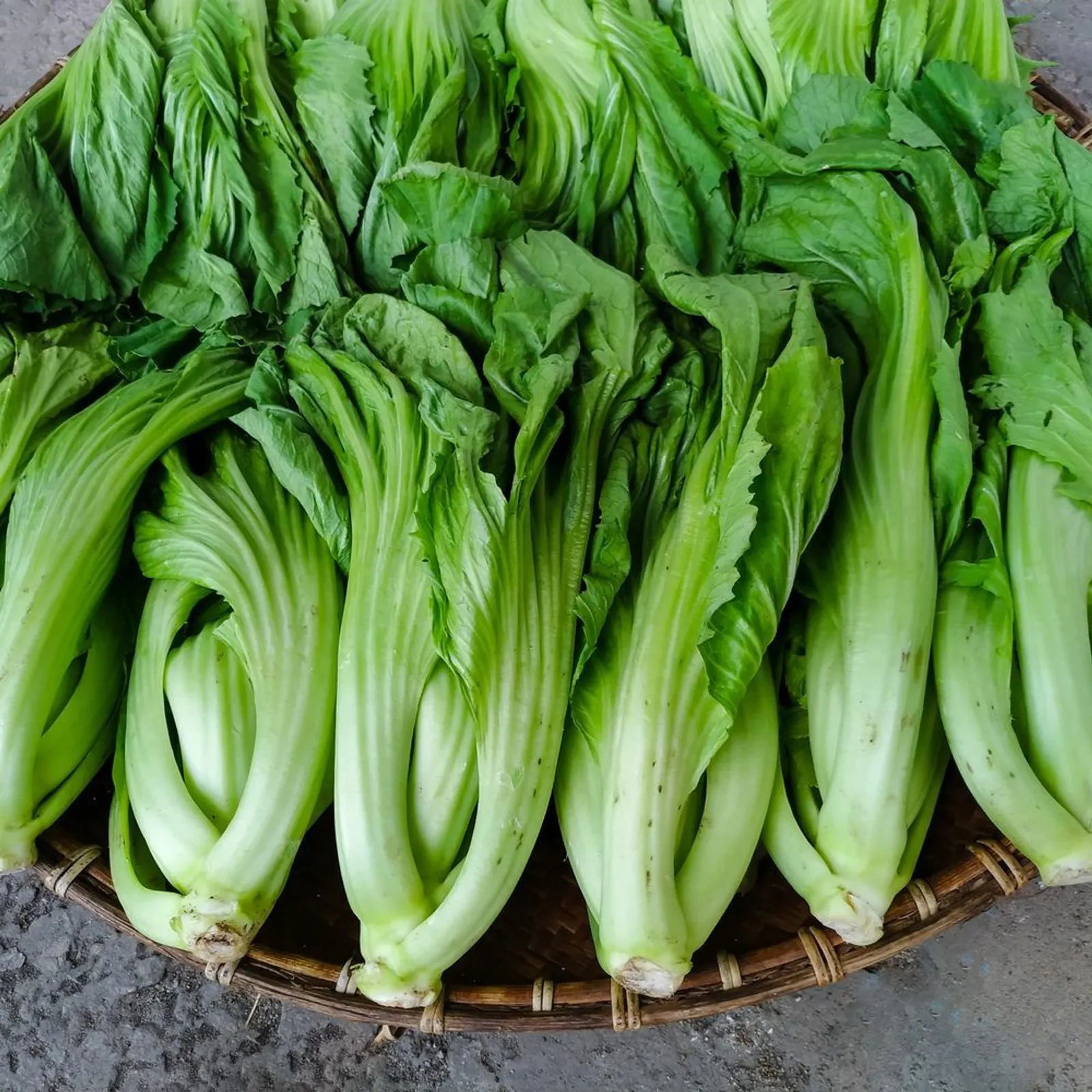 Gai Choy Mustard