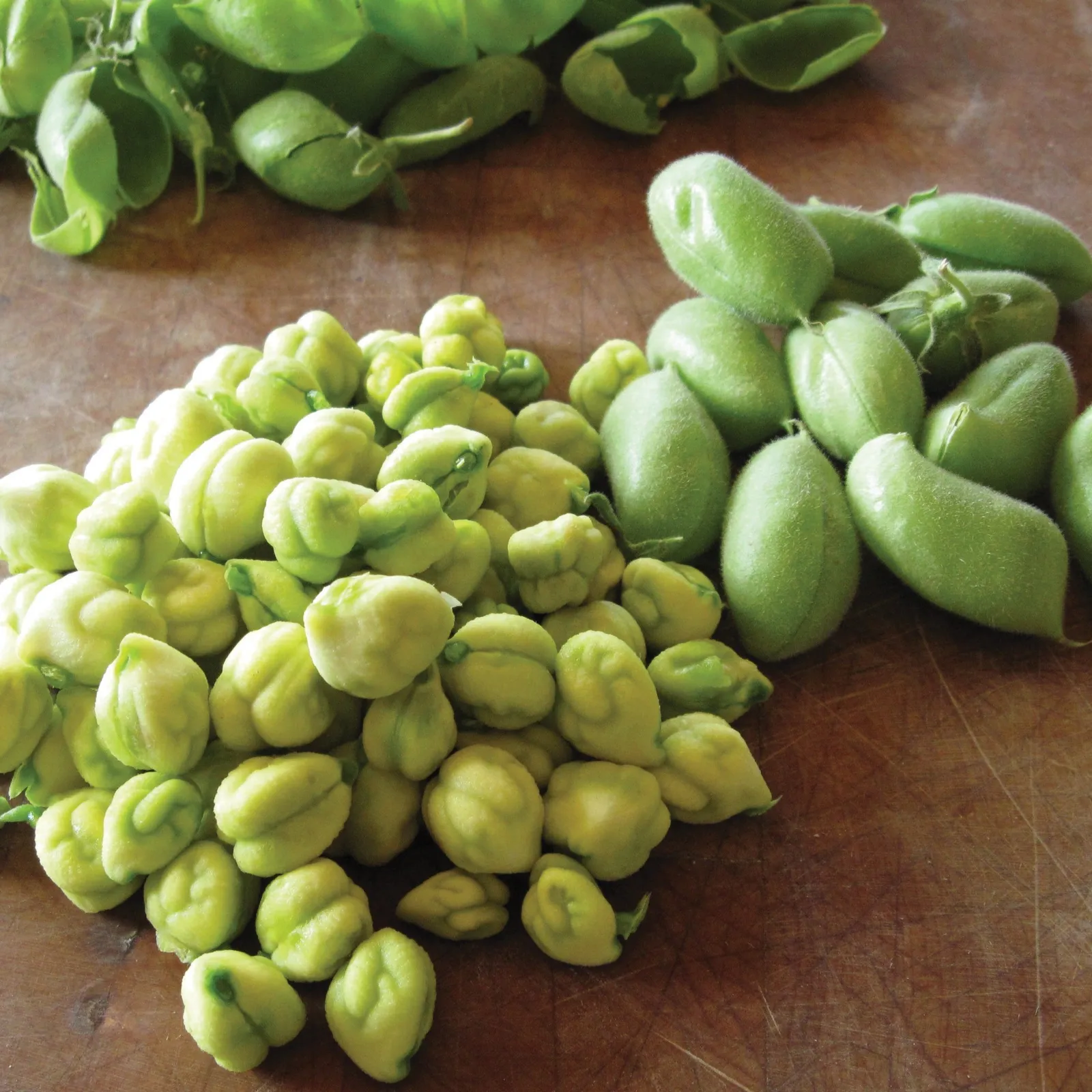 Garbanzo Beans