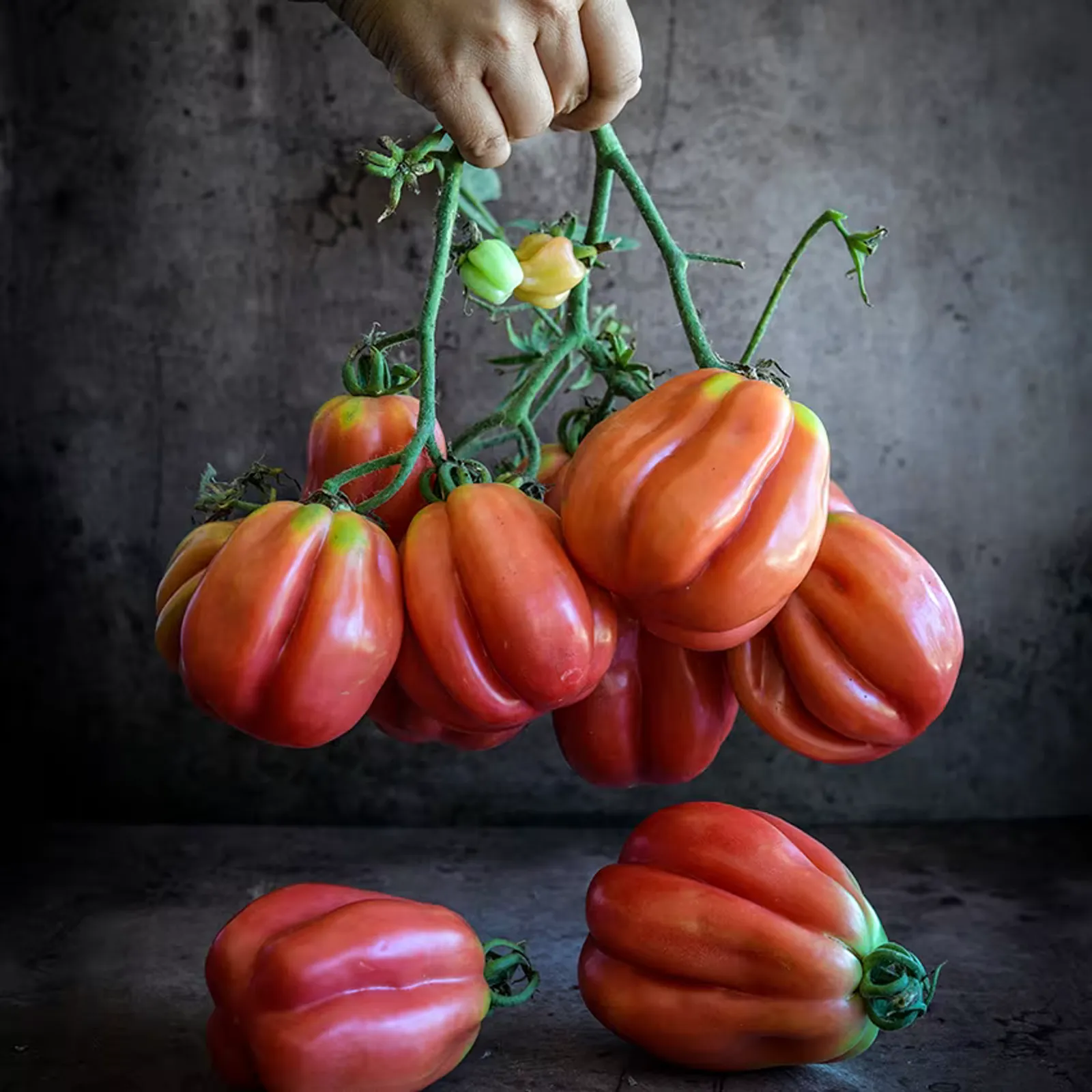 Gezahnte Tomatoes