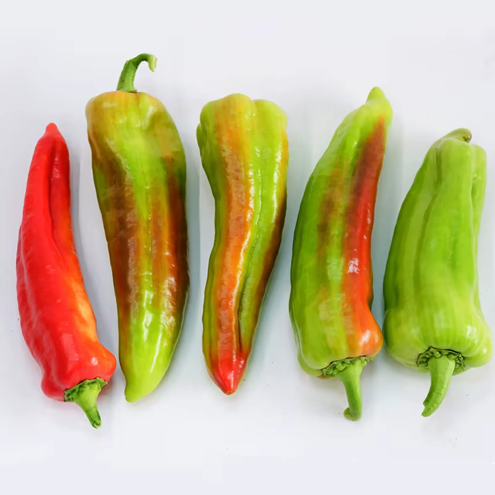Giant Aconcagua Peppers