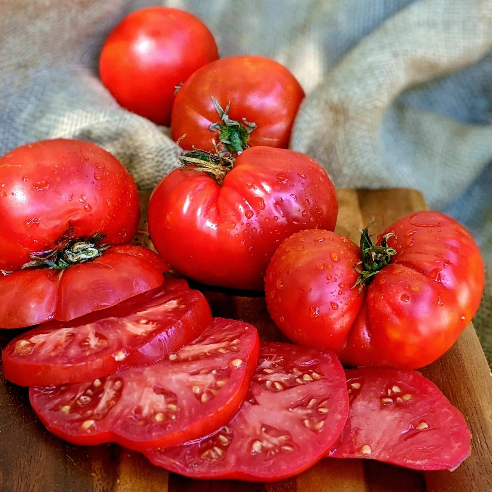 Giant Crimson Tomatoes