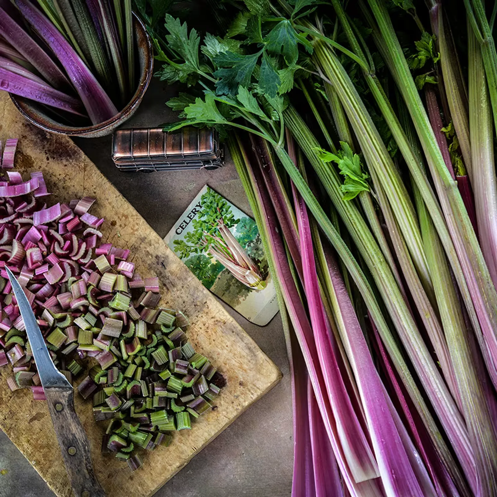 Giant Red Celery