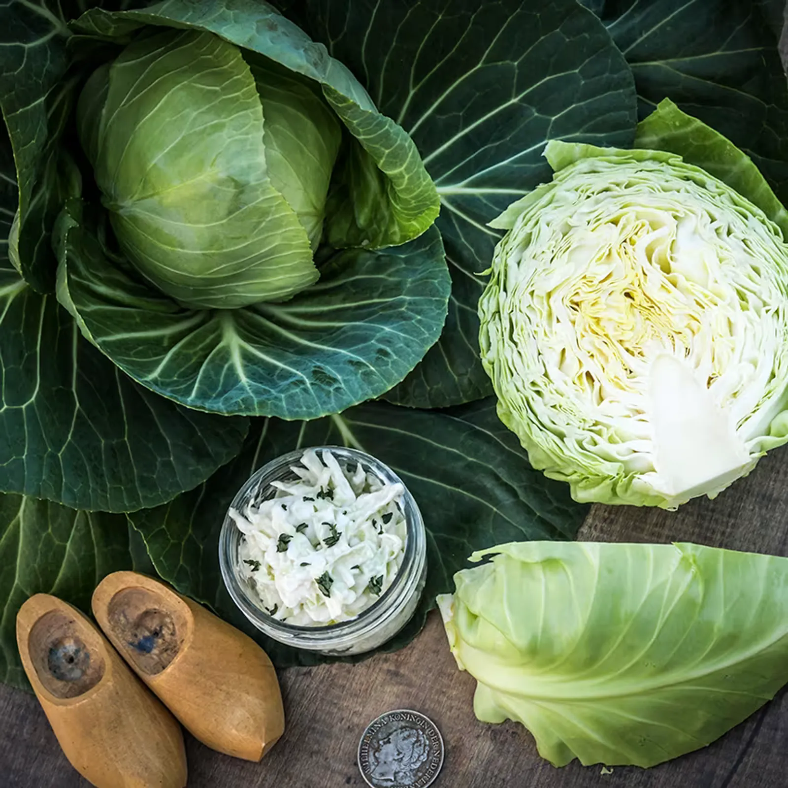 Glory of Enkhuizen Cabbage