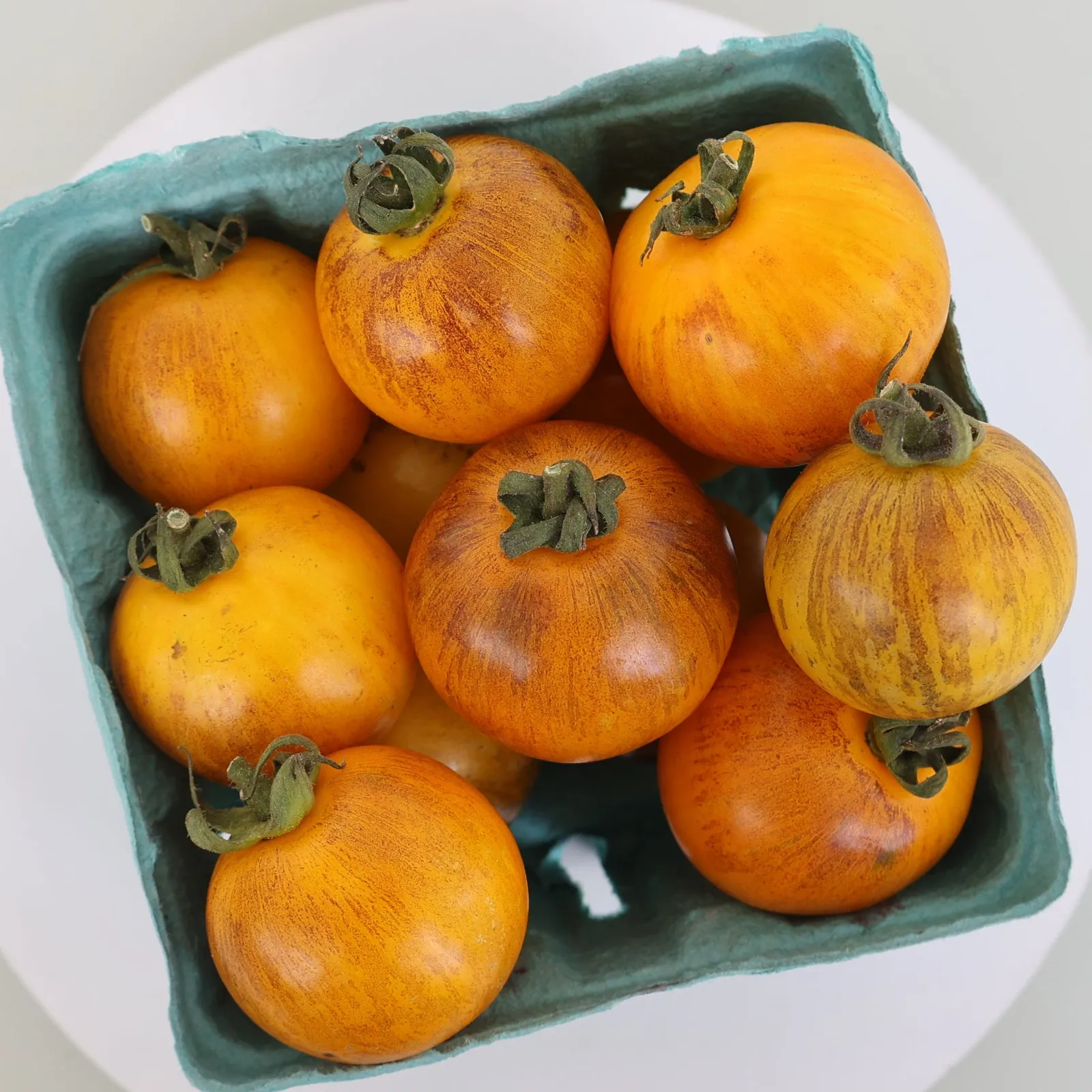 Gold Zebra Tomatoes