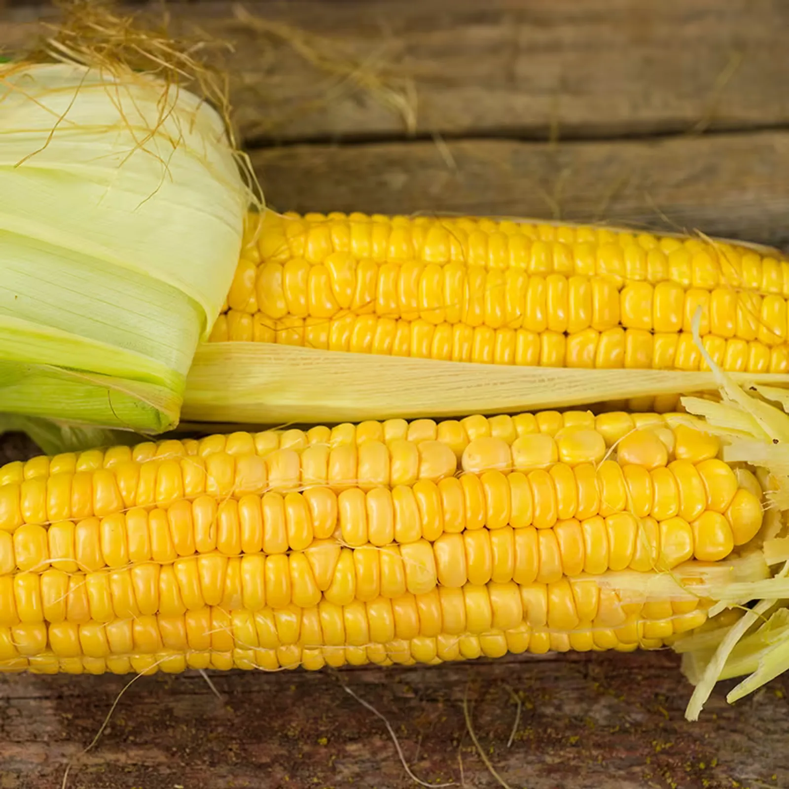 Golden Bantam Corn