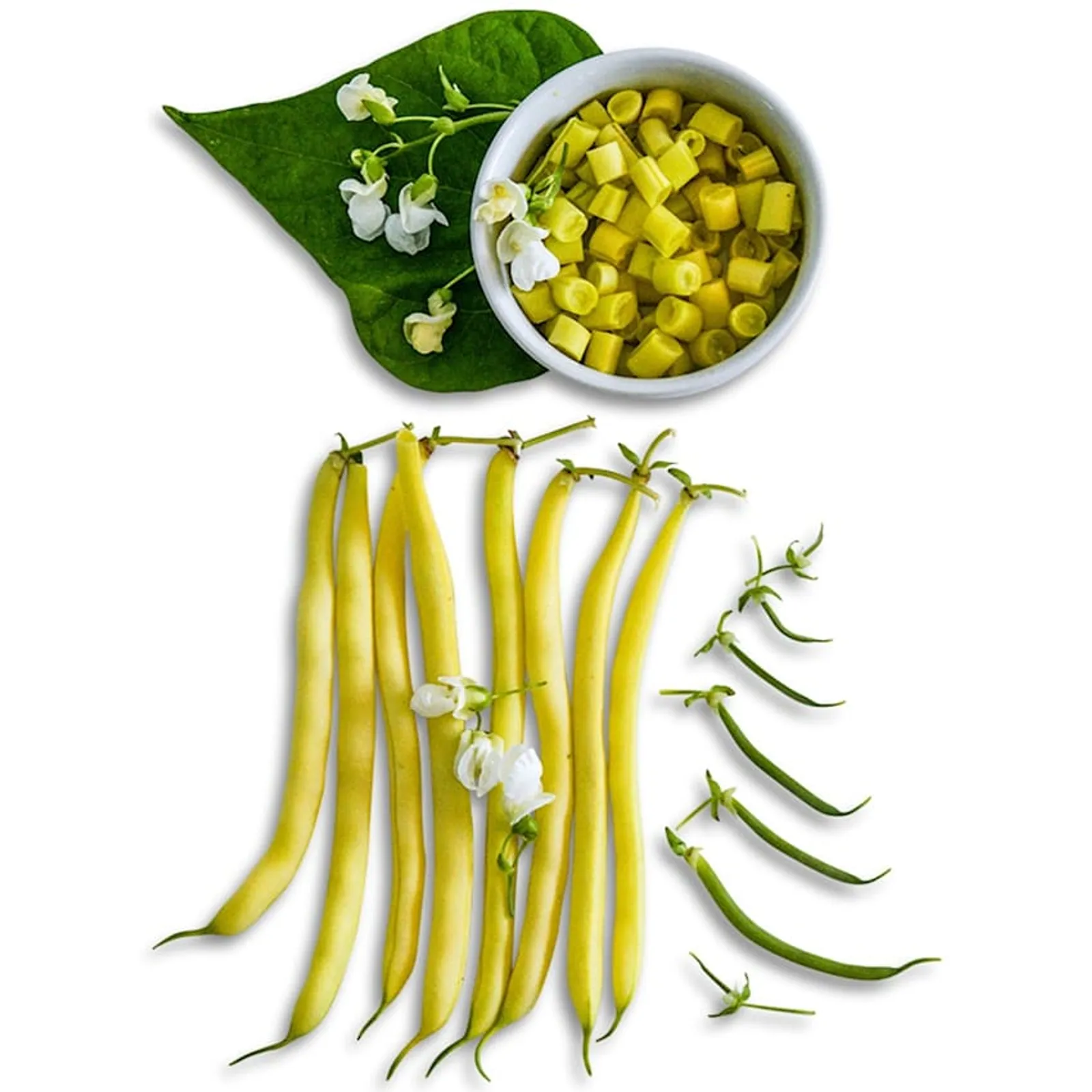 Golden Butterwax Beans