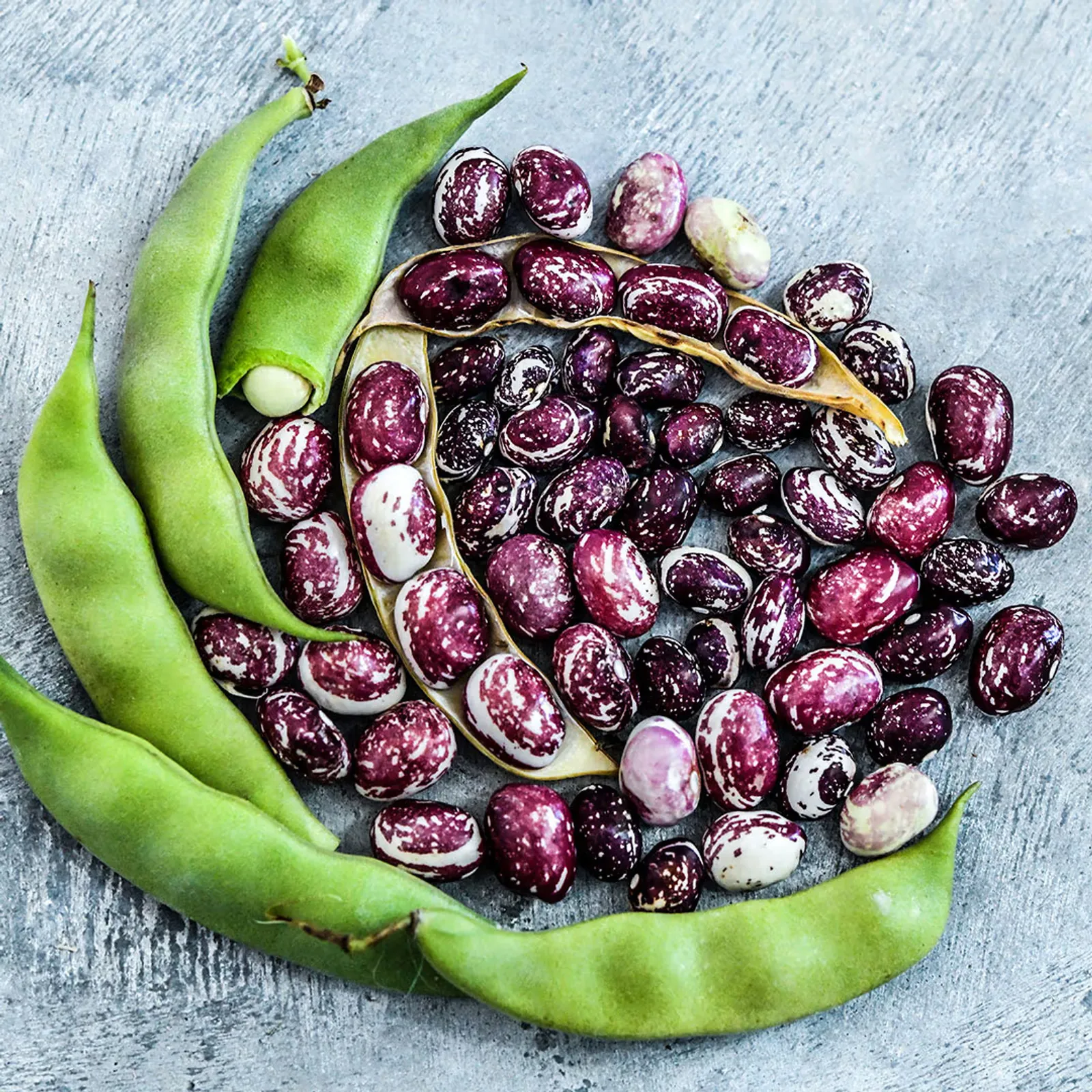 Good Mother Stallard Beans