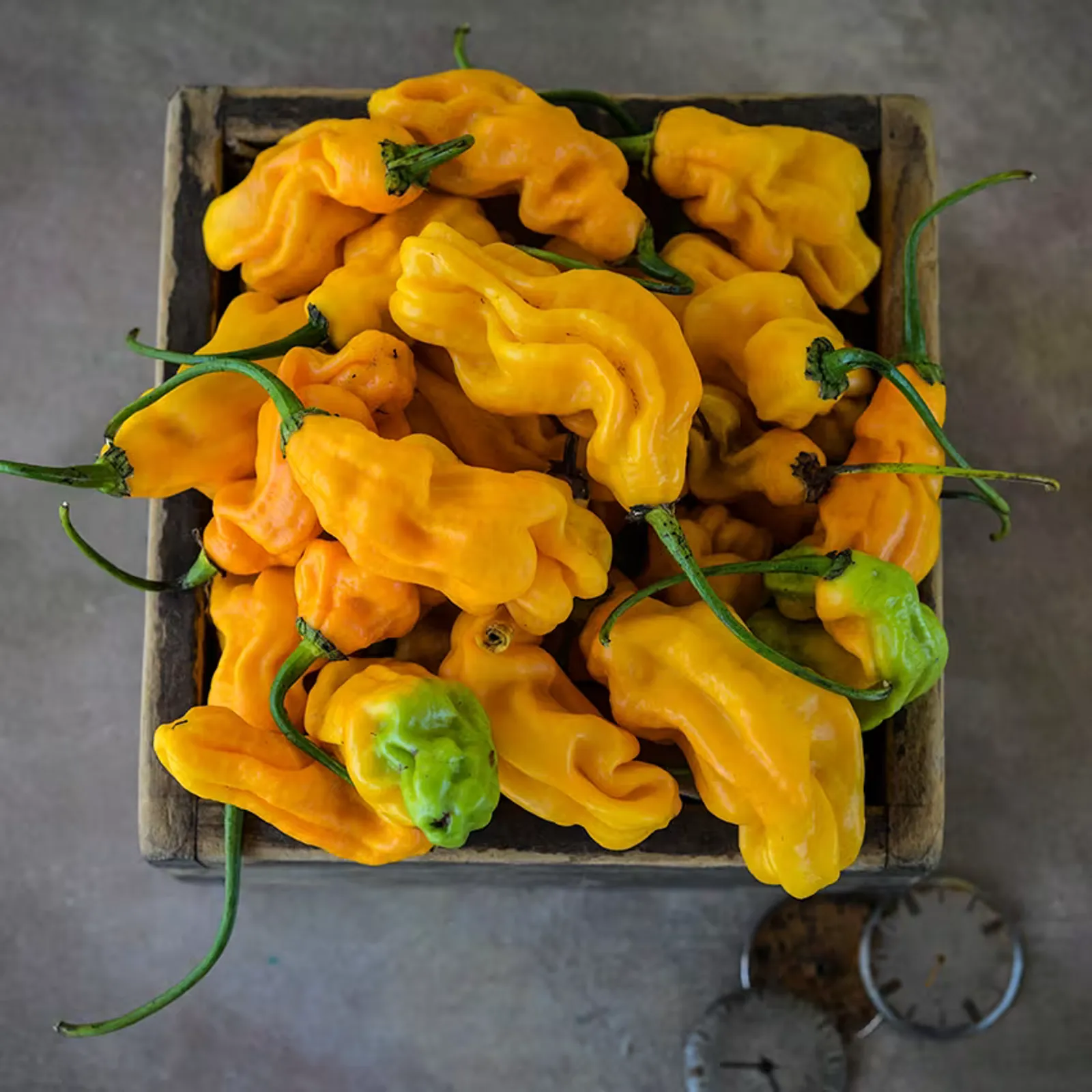 Goronong Peppers