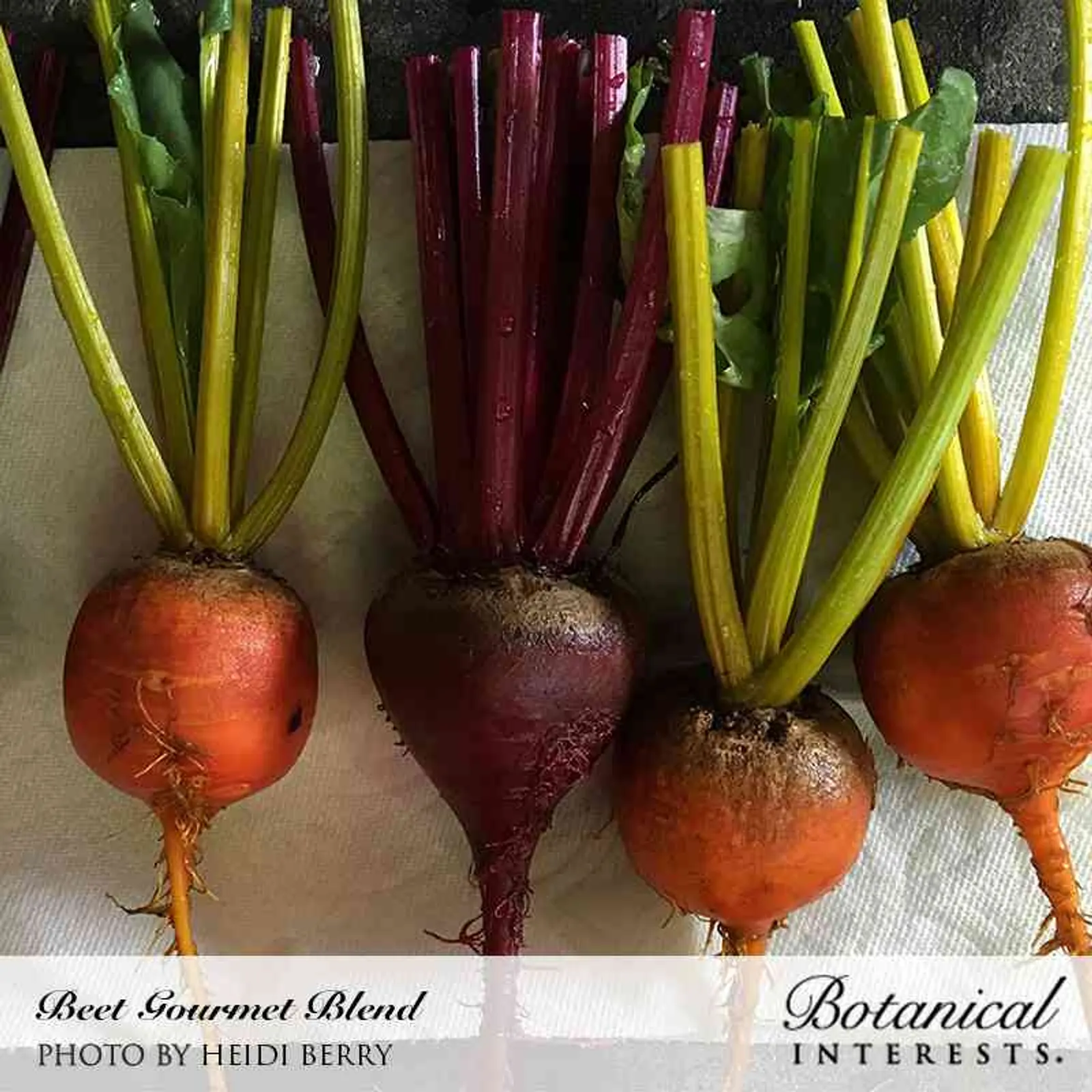 Gourmet Blend Beets