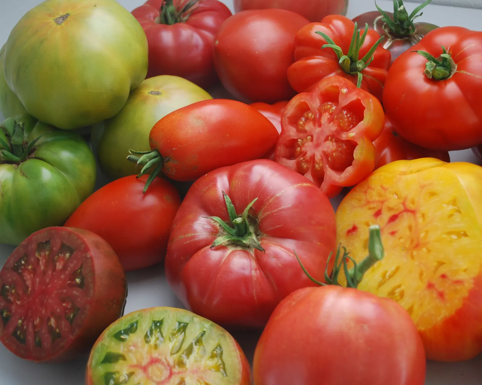 Gourmet Slicing Mix Tomatoes
