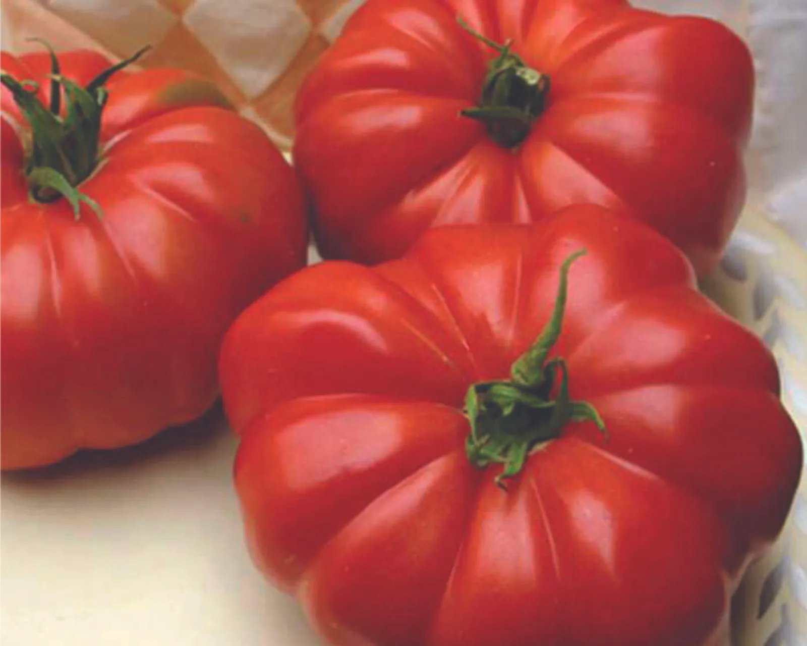 Grandma's Pick Hybrid Beefsteak Tomatoes